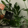 Keepsake Watering Cans Lifestyle